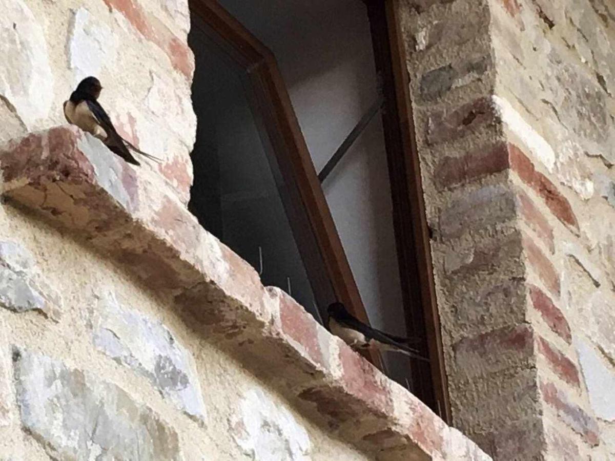 Вілла San Venanzo - Casale De Conti Екстер'єр фото